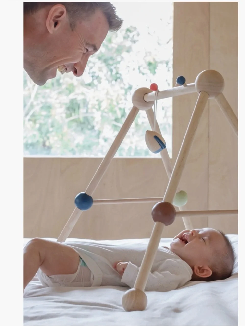 Plantoys currently sells